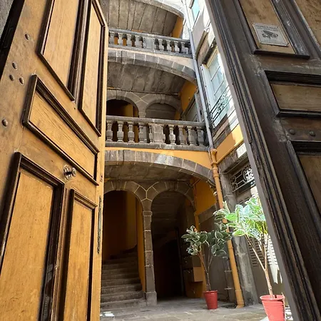 Les Fougeres #maisonsavaron - 52m2 - Terrasse